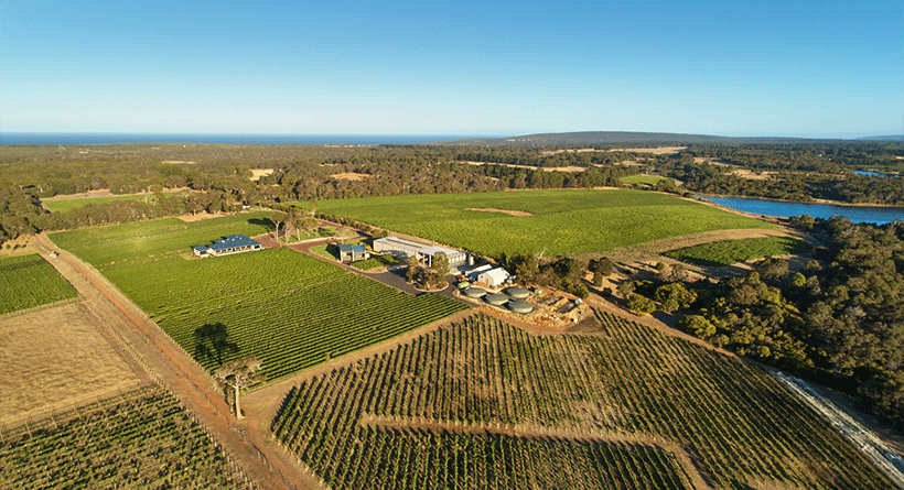 Amelia Park Vineyard